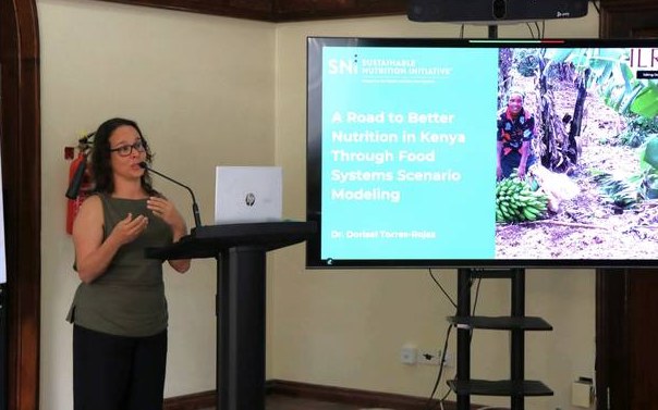 Presenting Kenya food systems modelling with SNi and ILRI
